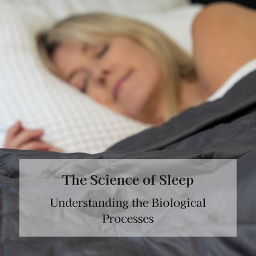 The Science of Sleep: Understanding the Biological Processes